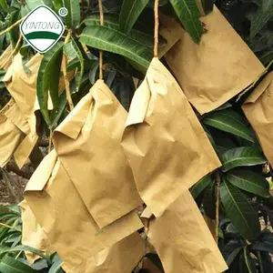 चीन उच्च गुणवत्ता उच्च निविड़ अंधकार फल बैग आम संरक्षण पेपर बैग में बांग्लादेश, भारत, श्रीलंका, थाईलैंड और मलेशिया
