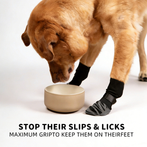 Nouvelles arrivées : chaussettes et chaussures antidérapantes en polyester réglables pour chiens et chats, pour l'extérieur. - Product Image 4