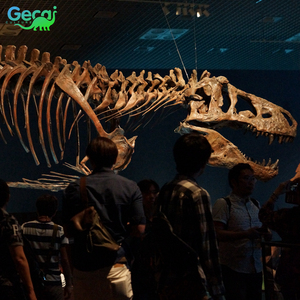 Gecai khủng long công viên khủng long hóa thạch thực T Rex Skeleton để bán - Product Image 2