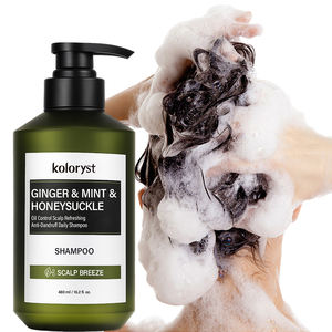 Control de aceite de rizo de cebolla roja de etiqueta privada Control de aceite de crecimiento de cabello profesional y juego de champú y acondicionador nutritivo - Product Image 1