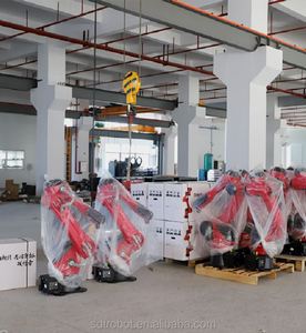 Robot Bronte para Paletización/Soldadura/Manipulación de Máquinas, con PLC, Accionamiento Eléctrico, Clasificación IP67, Herramienta Flexible de 2 Mandíbulas - Product Image 5