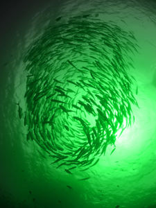 IP68 Dereceli 3000W LED Balıkçılık Lambası Yeşil Renk 200m Aydınlatma Mesafesi Alüminyum Alaşım Sualtı Balıkçılığı için - Product Image 6