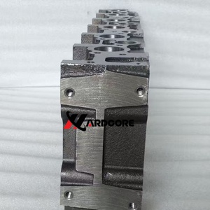 Repuestos para Excavadora, Cabeza de Cilindro para Motor Diésel JD6068 RE553421 con 12V 24V - Product Image 3