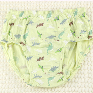 Calzoncillos bóxer de algodón puro para niños, ropa interior de un paquete, Estampado de dinosaurios encantadores, pantalones cortos de Bikini para niños de fábrica, 5 uds. - Product Image 3