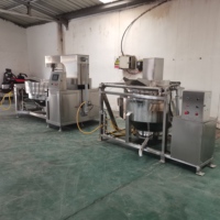 Marmite de blanchiment, de précuisson et de marinade en acier inoxydable avec agitateur motorisé pour la transformation de la viande (côtes de porc, pattes de poulet)