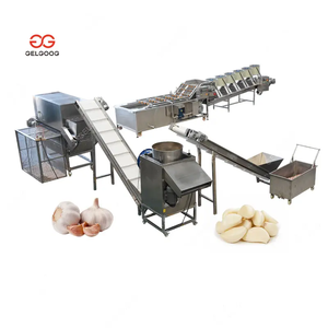 נורה שום לכלוך שורש מברשת ניקוי ניקוי ניקוי קו עיבוד קו קולב ג 'ינג' ר ושום מכונת צחצוח - Product Image 3