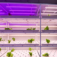Système de culture hydroponique DWC - Équipement agricole multifonctionnel à haute efficacité avec contrôle précis de la température par moteur 1