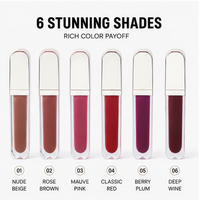 Tube de gloss à lèvres en or électroplaqué, 4 ml, longue tenue, minéral biologique, format échantillon pour maquillage quotidien, fournisseur de marque privée