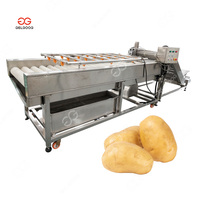 Gelgoog Volautomatische Hele Frietmachine Legt Vers Gesneden Chips Productielijn