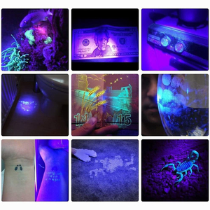UV-Taschenlampe 365nm Schwarzlicht USB für Haustierflecken, Katzenringwurm, Harzhärtung, Geldprüfung 395nm Ultraviolett-Schwarzlicht - Product Image 5