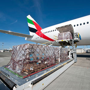 Desde China Shenzhen/Shanghai/Beijing/Nanjing/Suzhou a Portugal Lisboa Porto Coimbra 20GP/40GP/40HQ tarifas de contenedores - Product Image 4