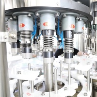 Machine de Fabrication de Vodka Bouteille en Verre Automatique Petite Échelle 5000bph Machine de Remplissage de Vin en Promotion avec Boucheuse ROPP et Bouchon en T
