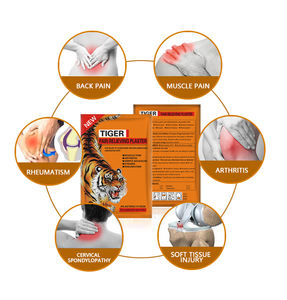 골반 허리 무릎 근육통 관절염 통증 완화 패치 호랑이 통증 완화 패치의 천연 석고 - Product Image 5