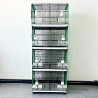 Volière spacieuse de haute qualité pour l'élevage d'oiseaux, nettoyage rapide, grande capacité, pour pigeons, cage à pigeons