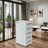 Madsun Système ESS 25kwh 15kwh 10kwh Stockage domestique batterie lifepo4 48V 51.2V 200AH 500AH 300Ah