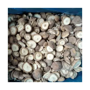 Vente en gros soutien fabricant chinois pas d'ajouts légumes frais à long terme IQF cube congelé champignons shiitake