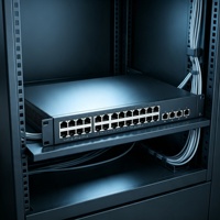 Switch PoE Géré 52 Ports Gigabit C9200L-48P-4X-E avec 4 Ports SFP+ 10G Uplink, Montage en Rack 1U, SNMP, QoS et Empilable