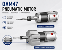 Moteur pneumatique à micro-vanne QAM47, couple élevé, faible vitesse, réversible, vitesse variable, antidéflagrant pour l'automatisation industrielle