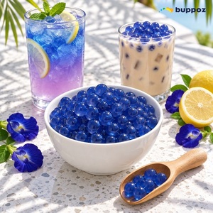 ชาผลไม้พร้อมดื่ม ฮัลลาล ได้รับการรับรองมาตรฐาน HACCP จากไต้หวัน สำหรับร้านขนมหวาน ชานมไข่มุก ผลไม้รวม คีวี ป๊อปปิ้งโบบา - Product Image 5