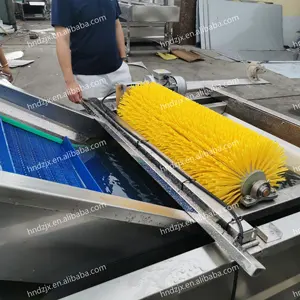 DZJX Fruit Green Coconut Pepper <strong>Bean</strong> Grapefruit Garlic Washer Ginger <strong>Slicer</strong> and Wash Washing Cleaning Machine With Bubble Ozone - Product Image 6