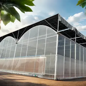 Large Multi-Span Film Greenhouse Agricultural Equipment For Hydroponic System