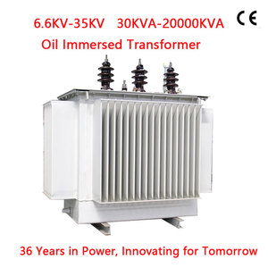 Transformateur de distribution de puissance triphasé immergé dans l'huile Longjian S11 500 kVA 33 kV 11 kV pour ferme solaire – Usine avec 35 ans d'expérience - Product Image 6