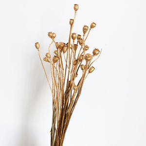 סדרת זהב פרי זומבי פרי אקליפטוס צבוע זהוב פירות דוחן שירלי פופי משומר פרחי זהב מיובשים - Product Image 2