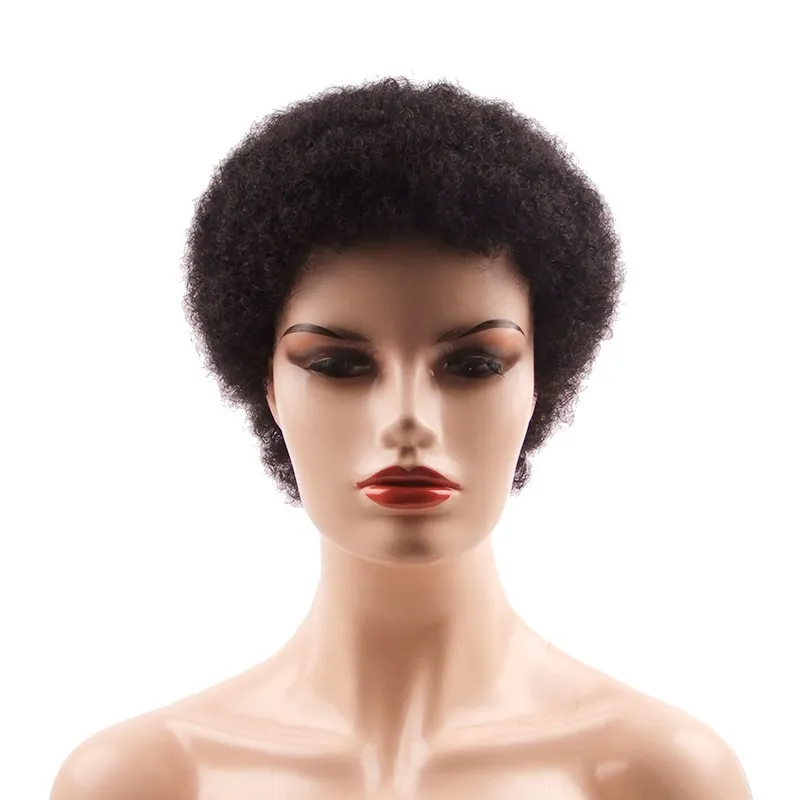 Short Fluffy Kinky Hair Afro Kinky Curly Wig Black Human Hair Wigs For Black Women