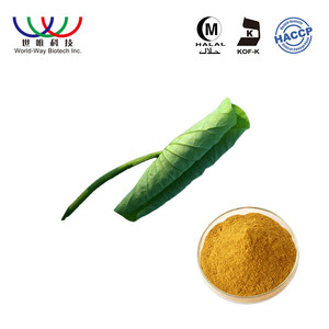 Contoh Gratis pasokan pabrik Cina flavone l nuciferine bubuk ekstrak teratai biru untuk kapsul pelangsing daun teratai - Product Image 4