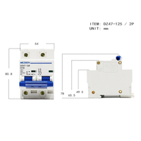 Interruptor Automático Bipolar DZ47 80 100 125 Amp, Tipo Riel DIN, Baja Tensión, Interruptor de Aire CA 400V, 2 Polos