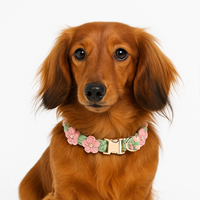 Collier pour chien tissé à la main en gros, personnalisé avec fleurs, réglable, avec étiquette nominative gravée, pour chiot