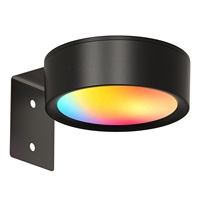 Lámpara de Pared LED con Batería, Montaje Magnético, Control Remoto, Función de Temporizador, Ambiente Festivo, Iluminación para Exhibición de Arte