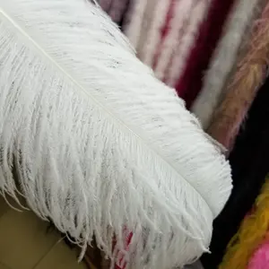 Wholesale all sizes Artificial White and dyed Ostrich Feathers