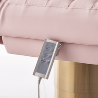 Table de Massage de Salon Rose Or de Luxe Lit de Beauté Visage Cosmétique Électrique Ajustable Avec Lampe Led