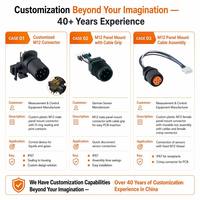 Adaptateur circulaire fileté M12 en laiton, mâle-femelle, IP67, montage sur panneau, codage A, 2-17 broches, coque/câble personnalisable, OEM, 40 ans d'expérience