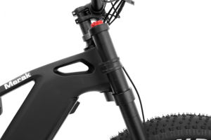 Livraison gratuite dans la région des États-Unis DENGFU EBIKE VTT E56 10S 52V <span class=keywords><strong>bafang</strong></span> M620 UART moteur - Product Image 4