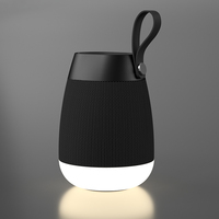 Nouveau Design de haut-parleur de Camping avec lumière LED, basses profondes, extérieur, étanche aux éclaboussures d'eau, anti-poussière, haut-parleurs Bluetooth