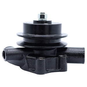 Bomba de Agua Cw para Maquinaria Agrícola Massey Ferguson IMT-533 3E60484, Pieza de Repuesto - Product Image 1