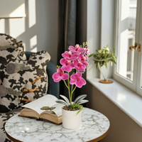 Usine directe Phalaenopsis bonsaï fleur artificielle doux naturel réel toucher décoration de la maison à vendre