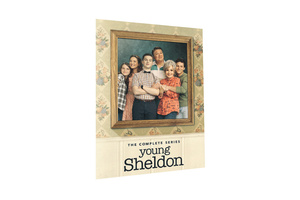 DVD Serie TV Young Sheldon: La Serie Completa Stagioni 1-7 (DVD, 2024, Set da 14 Dischi) <span class=keywords><strong>Film</strong></span> e Serie TV su DVD - Product Image 3