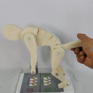 PVC mô hình giảng dạy y tế của cột sống chấp nhận khi nâng vật nặng với khung cơ sở - Product Image 5