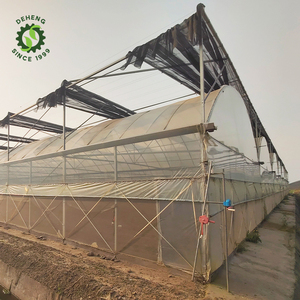 Los invernaderos agrícolas utilizan el último sistema resistente a los rayos UV <span class=keywords><strong>de</strong></span> película plástica <span class=keywords><strong>de</strong></span> invernadero para sistemas <span class=keywords><strong>de</strong></span> cultivo NFT Tubería <span class=keywords><strong>de</strong></span> PVC - Product Image 3