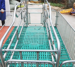 Gabbie per Allevamento e Allattamento Suini Trattate Termicamente con Mangiatoie, Gabbie per Scrofe e Gabbie da Parto per Uso Agricolo - Product Image 4