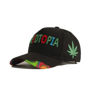 Gorra de Béisbol Clásica de 5 Paneles con Forro de Satén, Visera Ancha y Cierre de Hebilla, con Logotipo 3D Personalizado por Transferencia Térmica, Venta al Por Mayor - Product Image 1
