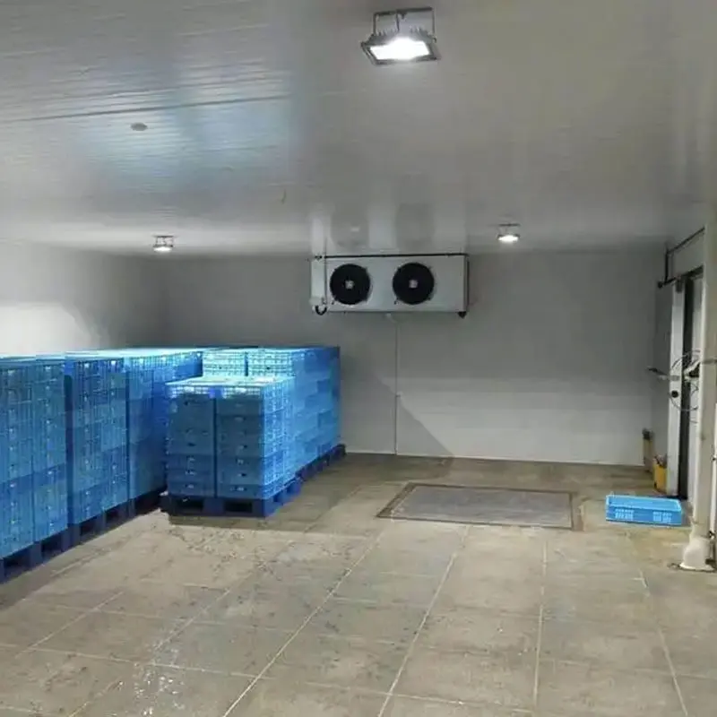 غرفة تخزين الباردة لتخزين سمك التونا من Arteco درجة الحرارة منخفضة جدًا من -50C -60C مع وحدات تبريد متدرجة