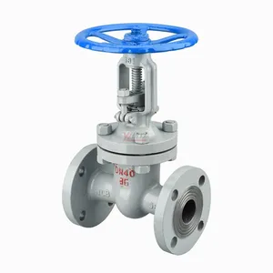 YOULI Rising steam high temperature steam high pressure 150LB 304 316 stainless steel 1.6-6.4mpa WCB flange Flanged Gate Valve