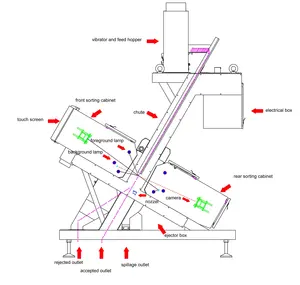 ฝรั่งเศสวอลนัทเมล็ดสีเครื่องเรียงลำดับสีเต็มรูปแบบกล้อง CCD วอลนัทในเปลือกเครื่องคัดแยกสำหรับวอลนัทเกรดการเรียงลำดับ