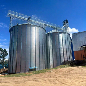 Solution clé en main pour silo à céréales pour machines de décorticage du riz avec stockage du paddy - Product Image 1
