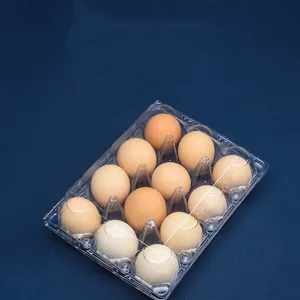 Walson Nhà máy cung cấp trực tiếp 12 lỗ gia đình sử dụng hàng ngày nhựa PET rõ ràng bao bì trứng