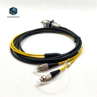 Connecteurs circulaires standard série ZLTC D38999, 2 cœurs, prise mâle, assemblage de câble à fibre optique, utilisation automobile, alliage de cuivre